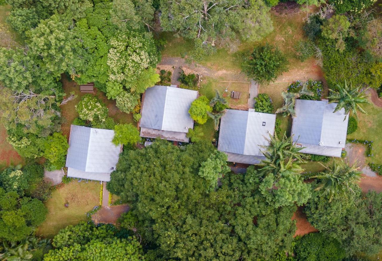 Romantic Cottage, Tamborine Mountain Ngoại thất bức ảnh